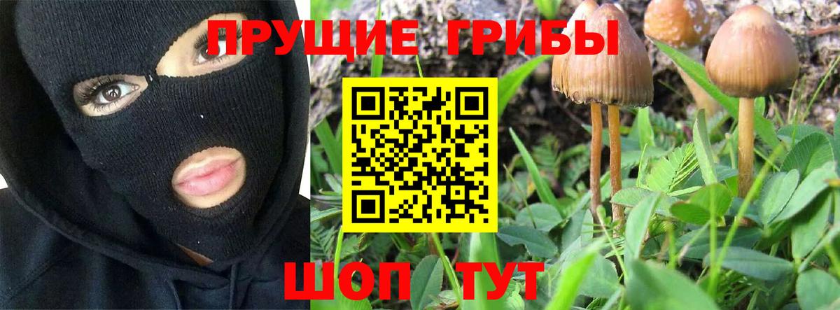 Галлюциногенные грибы Magic Shrooms Сухой Лог